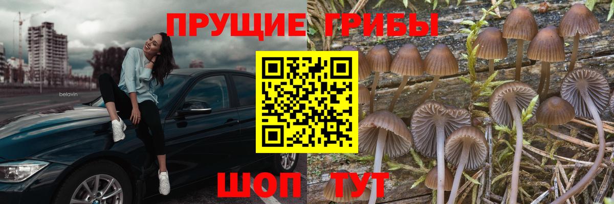 Псилоцибиновые грибы мицелий  Вход с VPN  Галлюциногенные грибы мухоморы  хочу   Магнитогорск 